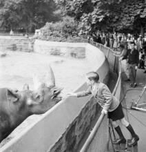 Zoos--Bronx Zoo