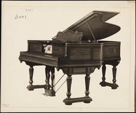 Pianos, Design 3001.