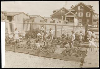 [Children tending to the garden.]