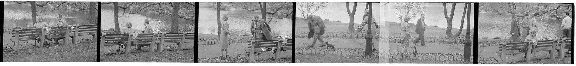 Men Are Such Wolves [Man talking to a woman in the park.]