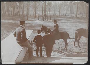 Park in the Pines, Aiken S.C.