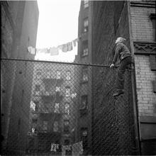 Shoe Shine Boy [Mickey climbing a fence.]