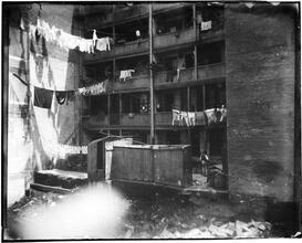 Rear Tenements in Mott Street, in which an Italian Shot his wife dead and escaped, 1894.