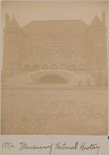 [Museum of Natural History.]