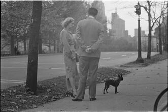 Men Are Such Wolves [Man talking to a woman in the park.]