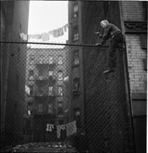 Shoe Shine Boy [Mickey climbing a fence.]
