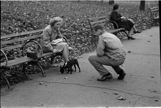 Men Are Such Wolves [Man talking to a woman in the park.]