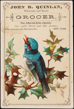 John B. Quinlan, Wholesale and Retail Grocer