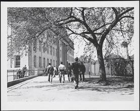 New York University, University Heights Campus. Campus view with students