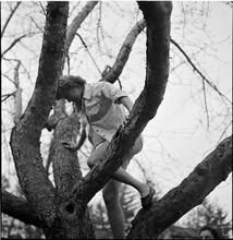 Betsy Von Furstenberg [Climbing a tree.]