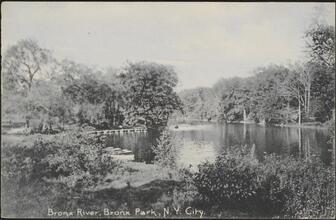 Bronx River, Bronx Park, N. Y. City.