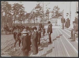 Park in the Pines, Aiken S.C.