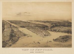 View of New-York, and Vicinity