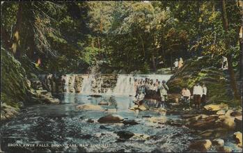 Bronx River Falls, Bronx Park, New York City.