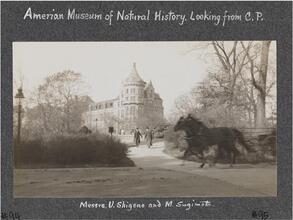 [Museum of Natural History with U. Shigeno and M. Sugimoto in foreground.]