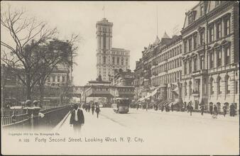 Forty Second Street, Looking West, N. Y. City.