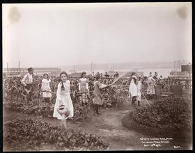 DeWitt Clinton Park in Manhattan, Children's Farm-School, September 19th 1902.