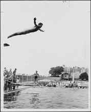 [John V. Lindsay diving into a swimming pool.]