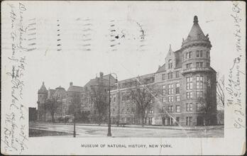 Museum of Natural History, New York.