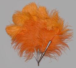 Folding feather fan of bright orange ombrŽ ostrich