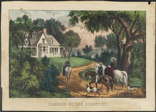 Summer in the Country.