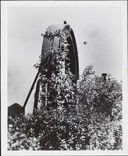 [Home of Mr. and Mrs. William Zeckendorf, Sr.]