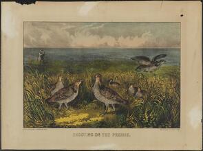 Shooting on the Prairie.