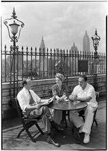 Beth Israel Hospital. Stuyvesant Square. Group of three, roof garden.