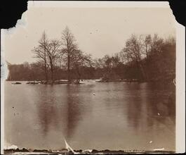 [Central Park lake.]