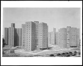 Albany and Troy Avenue, between St. Mark's and Park Place. Albany Houses, group of buildings.