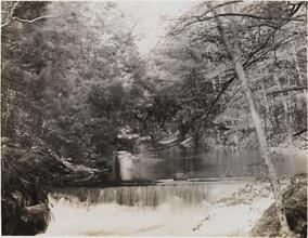 [Bronx River Falls.]