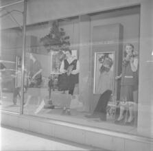 Lane Bryant Windows