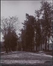 [Prospect Avenue north from 166th Street.]