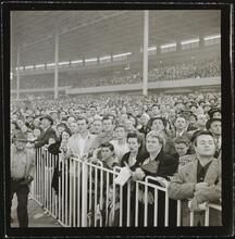 Aqueduct Race Track [Spectators at the racetrack.]