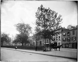 Greenwich Village, Grove Park