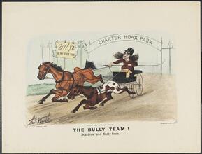 The Bully Team !