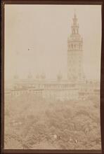 [Madison Square Garden Tower.]