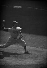 Sal Maglie