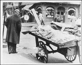 [Fruit stand.]