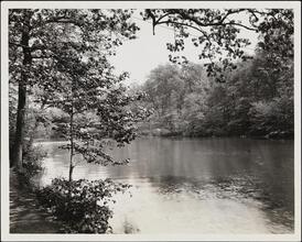 [Bronx River.]