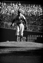 Sal Maglie