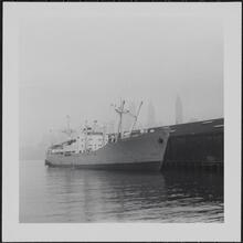 [Steamship.]