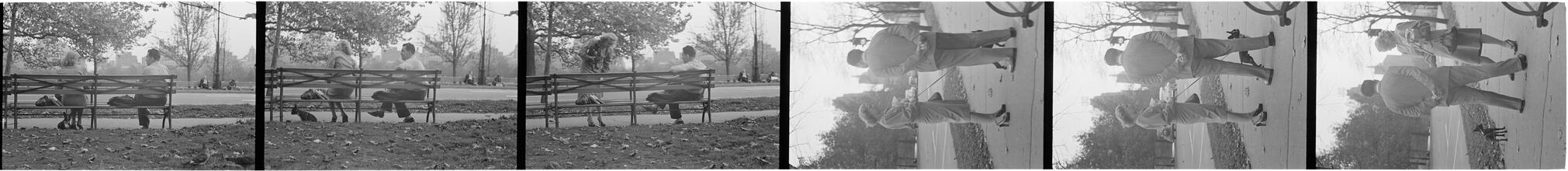 Men Are Such Wolves [Man talking to a woman in the park.]