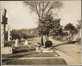 Cemeteries, Fairview, N.J., Looking North Showing Small Mausoleums and Plots.