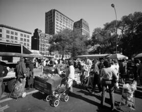 [Union Square Greenmarket.]