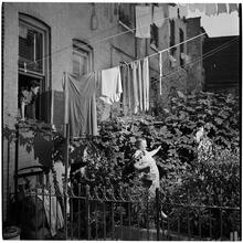 [Rooftop Gardens.]