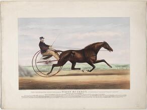 The Celebrated Trotting Mare Widow McChree, Formerly Called "Mary Hoyt."