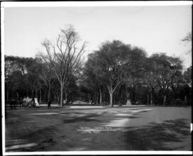The Mall - Central Park