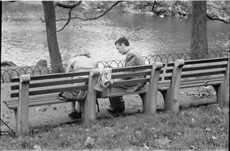 Men Are Such Wolves [Man talking to a woman in the park.]