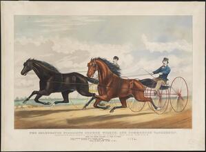 The Celebrated Stallions George Wilkes, and Commodore Vanderbilt.